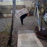 حکیمیه بار تهرانپارس