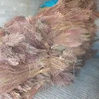 جارومحلی|لوازم نظافت|اراک, |دیوار