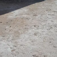 زمین در کوی انقلاب