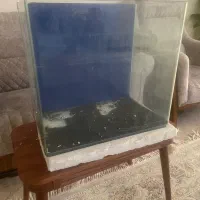 آکواریوم شیشه خم خارجی|ماهی|تهران, شهران جنوبی|دیوار