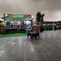 باریستا کار
