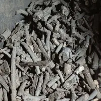 زغال کبابی(قلم)