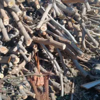 پوشال چوب ،خاک اره ، چیپس چوب