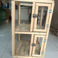 سالم وبدونه شکستگی