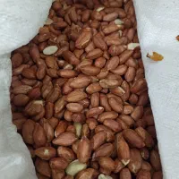 بادام زمینی تناژ تمیز مناسب صادرات کره گیری و فروش|خوردنی و آشامیدنی|تهران, آبشار|دیوار