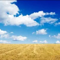 فروش زمین کشاورزی