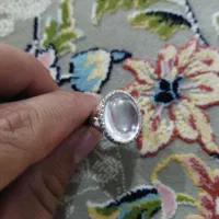 دور نجف اصل کربلا