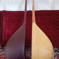 دوتار بدون عیب خوش صدا|سازهای سنتی|تربت‌حیدریه, مسجد جامع|دیوار