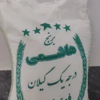 برنج هاشمی شمال