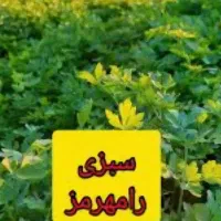سبزی خورشتی رامهرمز