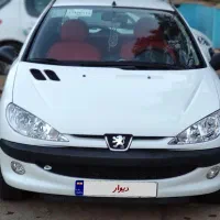 پژو ۲۰۶ تیپ۲ ، کم کارکرد خانگی