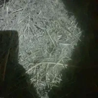 ۲۵ گونی یونجه و۳۵گونی خاوری کاه فروشی