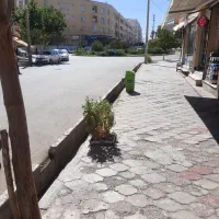 مجیدیه۲۷/مغازه تجاری/بازارمحله/|اجارهٔ مغازه و غرفه|مشهد, جاهد شهر|دیوار