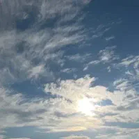 طلای رایگان