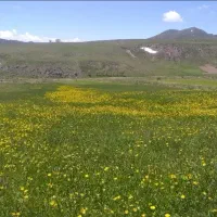 تور و گردشگری