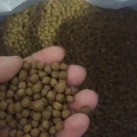 غذای ماهی خوراک ماهی کوی و کپور|ماهی|اصفهان, لاله|دیوار