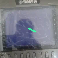 ارگ|پیانو، کیبورد، آکاردئون|میناب, |دیوار