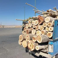 خریدار انواع چوب خشک و تر