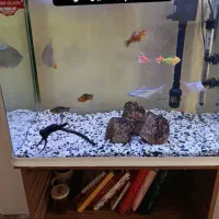 آکواریوم همراه میز