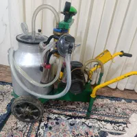 شیردوش|لوازم جانبی حیوانات|سیلاخور, |دیوار