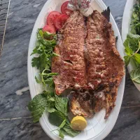 سفارش غذا پذیرفته میشود