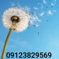 کد ۳ استثنایی