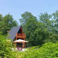 کلبه پلاک اول جنگل