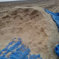 کاه کاهکوب مناسب و تمیز|لوازم جانبی حیوانات|تربت جام, جامرود|دیوار