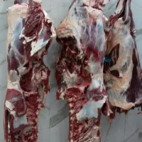 سلاخ حرفه ای  قصاب