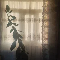 کلی وسیله|حراج|کرج, شاهین‌ویلا|دیوار