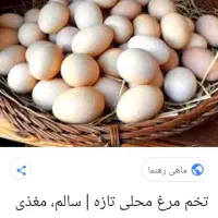 تخم مرغ محلی صددرصدارگانیک
