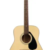 استاد گیتار