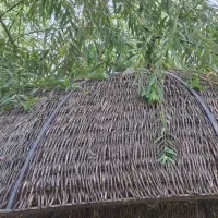 پرسنل جهت کار در تالار عروسی