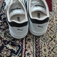 کفش puma|کیف، کفش، کمربند|سنندج, |دیوار