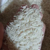 برنج خوشبخت ایرانی