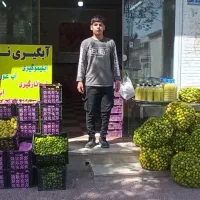 لیمو ابگیری فقط 145هزار تومن