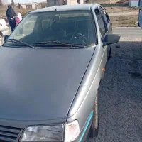 پژو دوگانه دستی