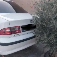 سمند ef7 پایه گاز مدل ۹۲ بی رنگ|خودرو سواری و وانت|ایلام, |دیوار