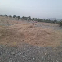 فروش کاه  در منوجان