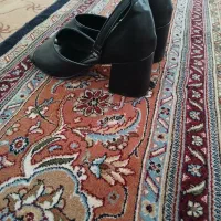 کفش مجلسی