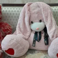 شاسخین بزرگ