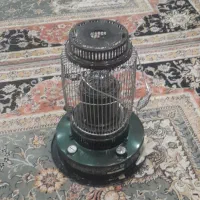 دو عدد تیوست در حد نو