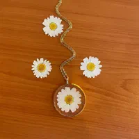 جاسویچی و زیورالات و تابلو رزینی