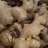 زنجبیل زنجفیل به شرط چاقو