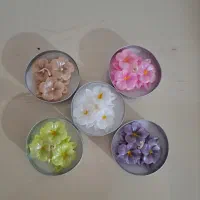 شکوفه های بهاری