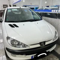 206 در حد خشک