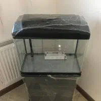 اکواریوم شرکتی|ماهی|شیراز, حافظیه|دیوار