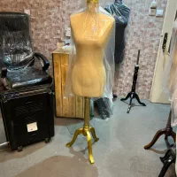 مانکن سوزن خور