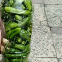 خیار  ریزریز مال سنندج|خوردنی و آشامیدنی|تهران, خزانه|دیوار