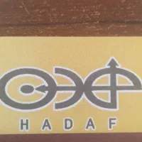 ویزیتور و ویزیتور تلفنی